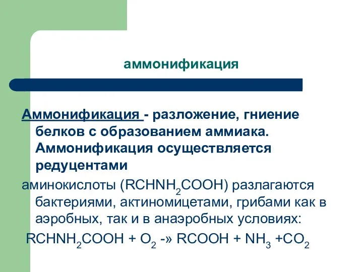 аммонификация Аммонификация - разложение, гниение белков с образованием аммиака. Аммонификация осуществляется