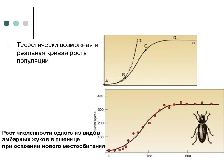 Теоретически возможная и реальная кривая роста популяции Рост численности одного из