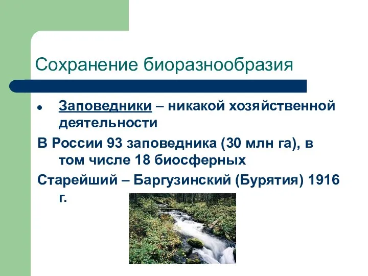 Сохранение биоразнообразия Заповедники – никакой хозяйственной деятельности В России 93 заповедника