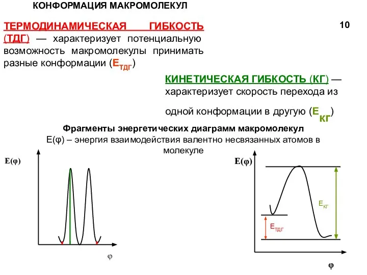 КОНФОРМАЦИЯ МАКРОМОЛЕКУЛ ТЕРМОДИНАМИЧЕСКАЯ ГИБКОСТЬ (ТДГ) — характеризует потенциальную возможность макромолекулы принимать