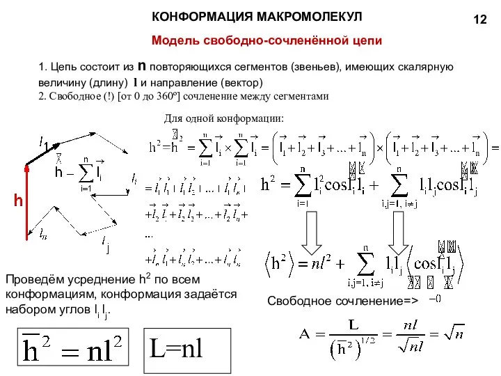 КОНФОРМАЦИЯ МАКРОМОЛЕКУЛ Модель свободно-сочленённой цепи 1. Цепь состоит из n повторяющихся