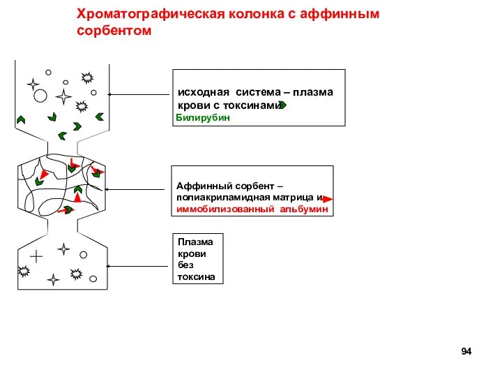 исходная система – плазма крови с токсинами Плазма крови без токсина