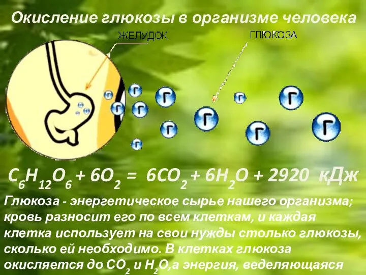 C6H12O6 + 6O2 = 6CO2 + 6H2O + 2920 кДж Окисление