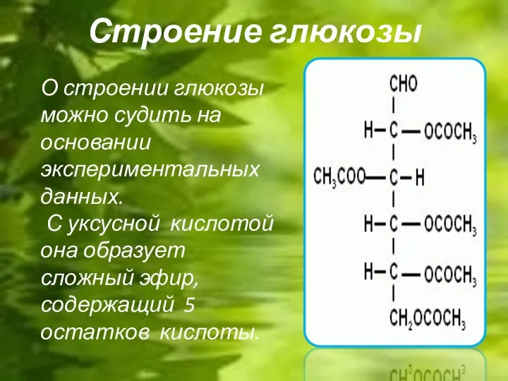 Строение глюкозы О строении глюкозы можно судить на основании экспериментальных данных.