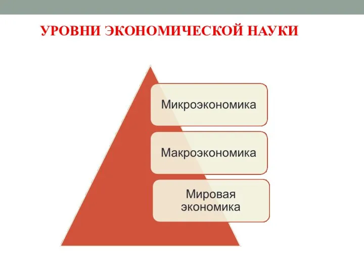 УРОВНИ ЭКОНОМИЧЕСКОЙ НАУКИ