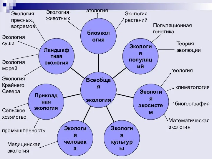 Популяционная генетика Теория эволюции этология Экология животных Экология растений геология климатология