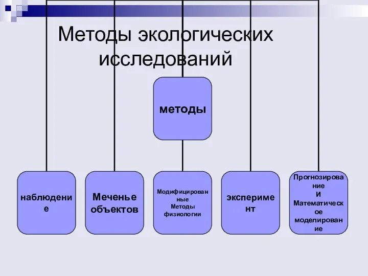 Методы экологических исследований