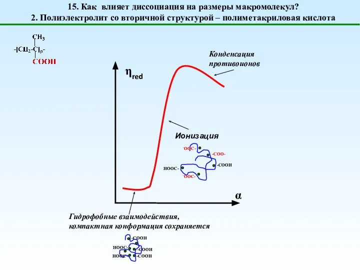 15. Как влияет диссоциация на размеры макромолекул? 2. Полиэлектролит со вторичной