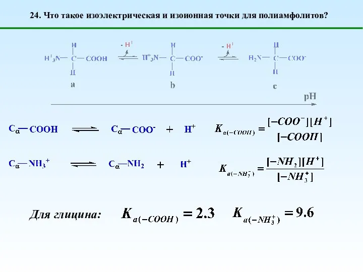 24. Что такое изоэлектрическая и изоионная точки для полиамфолитов? Для глицина: