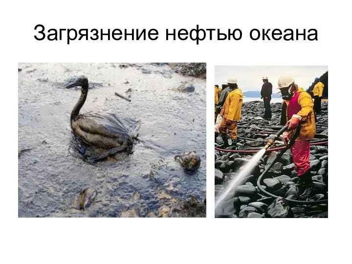 Загрязнение нефтью океана