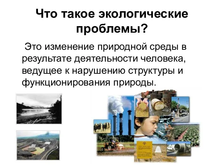 Что такое экологические проблемы? Это изменение природной среды в результате деятельности