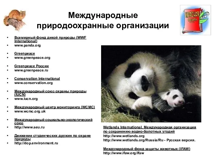 Международные природоохранные организации Всемирный фонд дикой природы (WWF International) www.panda.org Greenpeace