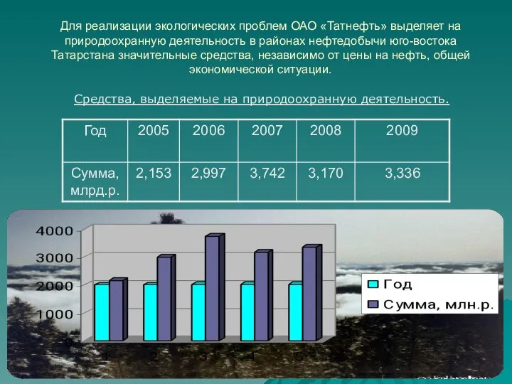 Для реализации экологических проблем ОАО «Татнефть» выделяет на природоохранную деятельность в