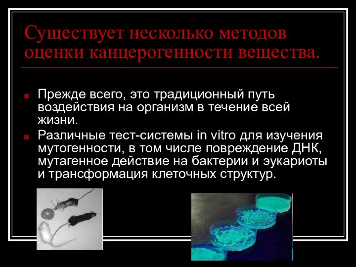 Существует несколько методов оценки канцерогенности вещества. Прежде всего, это традиционный путь