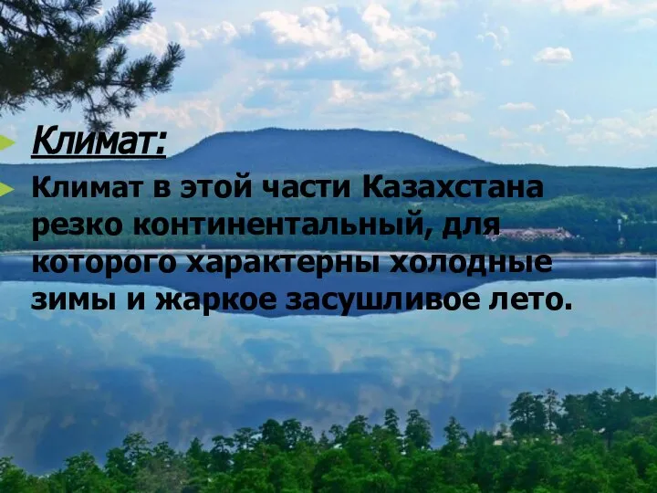 Климат: Климат в этой части Казахстана резко континентальный, для которого характерны