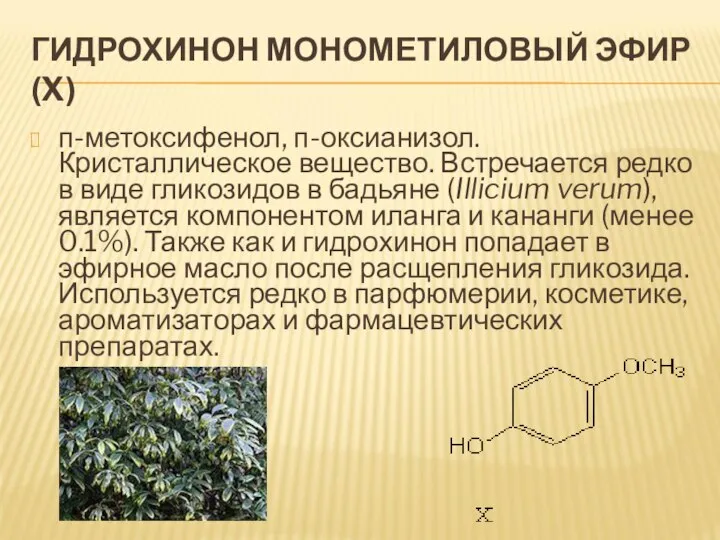 ГИДРОХИНОН МОНОМЕТИЛОВЫЙ ЭФИР (X) п-метоксифенол, п-оксианизол. Кристаллическое вещество. Встречается редко в