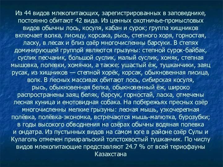 Из 44 видов млекопитающих, зарегистрированных в заповеднике, постоянно обитают 42 вида.