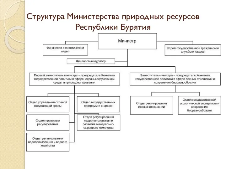 Структура Министерства природных ресурсов Республики Бурятия