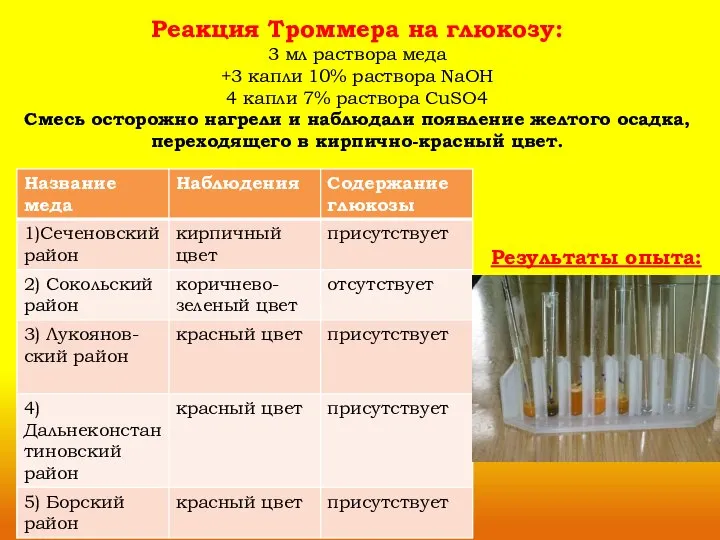 Реакция Троммера на глюкозу: 3 мл раствора меда +3 капли 10%