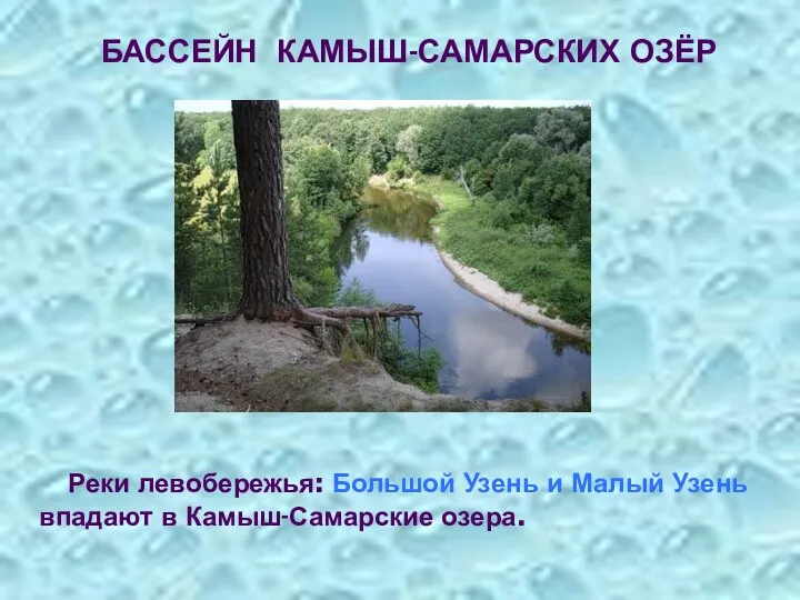 Реки левобережья: Большой Узень и Малый Узень впадают в Камыш-Самарские озера. БАССЕЙН КАМЫШ-САМАРСКИХ ОЗЁР