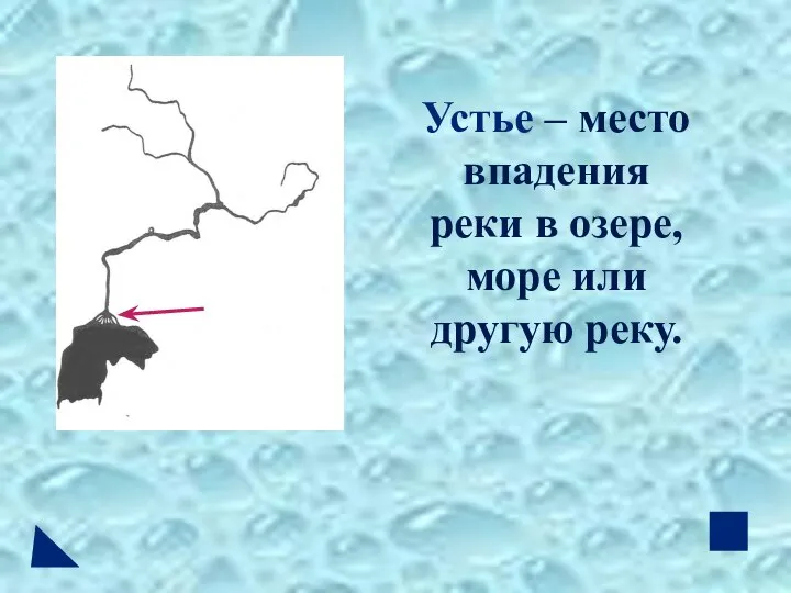 Устье – место впадения реки в озере, море или другую реку.