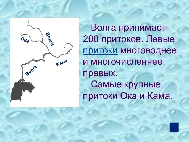 Волга принимает 200 притоков. Левые притоки многоводнее и многочисленнее правых. Самые