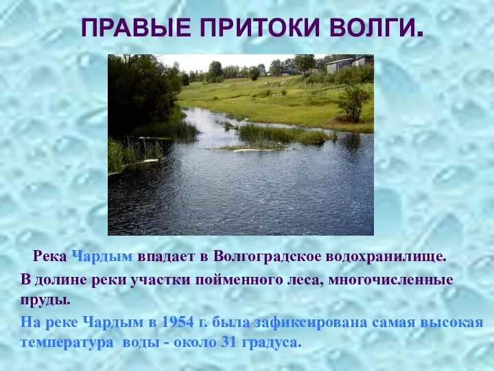 ПРАВЫЕ ПРИТОКИ ВОЛГИ. Река Чардым впадает в Волгоградское водохранилище. В долине