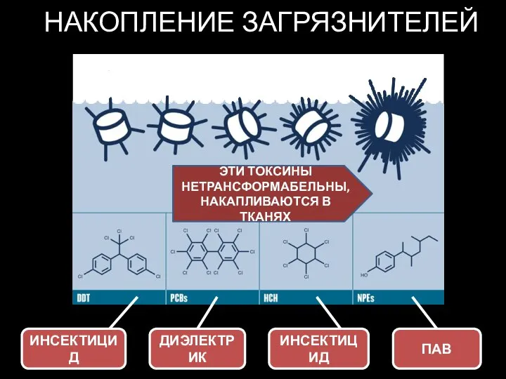 НАКОПЛЕНИЕ ЗАГРЯЗНИТЕЛЕЙ ИНСЕКТИЦИД ЭТИ ТОКСИНЫ НЕТРАНСФОРМАБЕЛЬНЫ, НАКАПЛИВАЮТСЯ В ТКАНЯХ ДИЭЛЕКТРИК ПАВ ИНСЕКТИЦИД