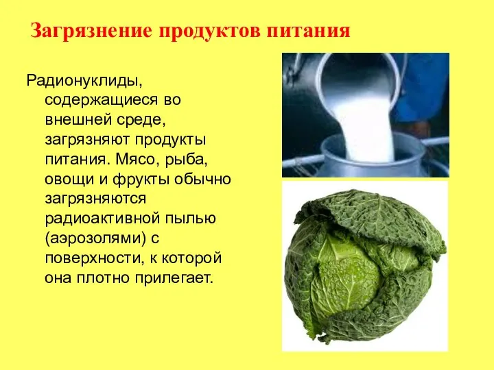 Радионуклиды, содержащиеся во внешней среде, загрязняют продукты питания. Мясо, рыба, овощи