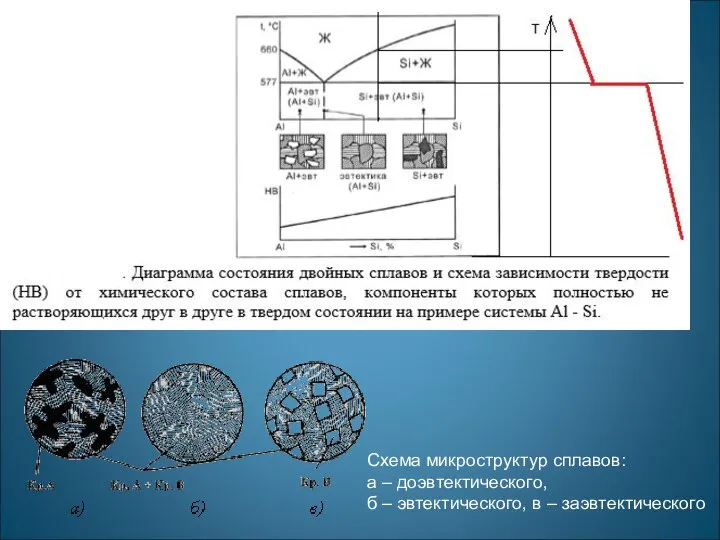 Схема микроструктур сплавов: а – доэвтектического, б – эвтектического, в – заэвтектического