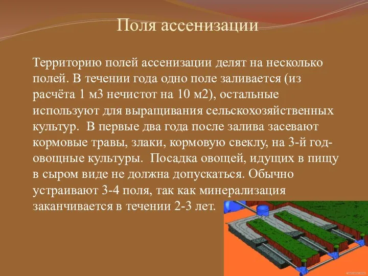 Поля ассенизации Территорию полей ассенизации делят на несколько полей. В течении