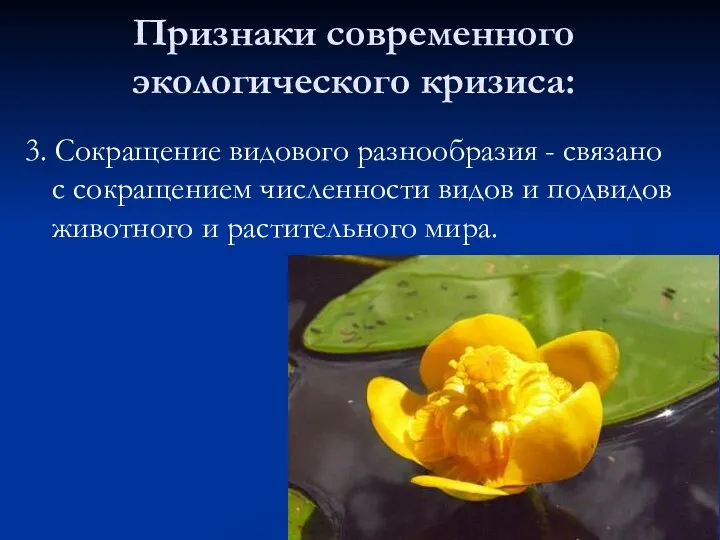 Признаки современного экологического кризиса: 3. Сокращение видового разнообразия - связано с