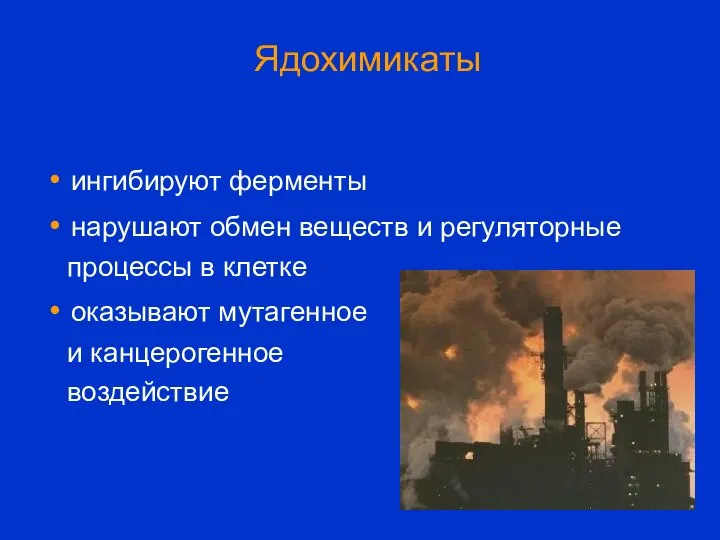 Ядохимикаты ингибируют ферменты нарушают обмен веществ и регуляторные процессы в клетке оказывают мутагенное и канцерогенное воздействие