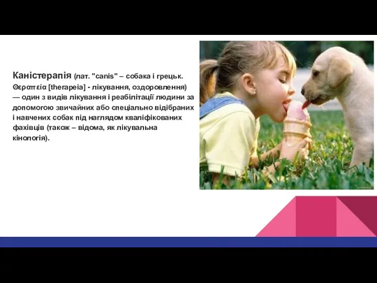 Каністерапія (лат. "сanis" – собака і грецьк. Θεραπεία [therapeia] - лікування,