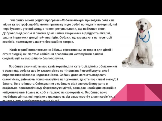 Учасники міжнародної програми «Собаки-лікарі» приводять собак на місця катастроф, щоб їх