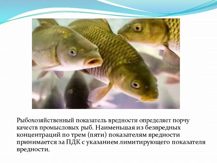 Рыбохозяйственный показатель вредности определяет порчу качеств промысловых рыб. Наименьшая из безвредных