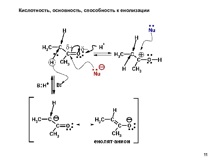 Кислотность, основность, способность к енолизации