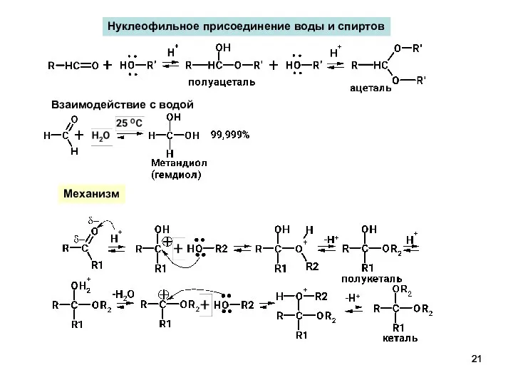 Нуклеофильное присоединение воды и спиртов Взаимодействие с водой Механизм