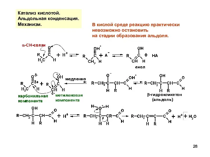 Катализ кислотой. Альдольная конденсация. Механизм. В кислой среде реакцию практически невозможно остановить на стадии образования альдоля.