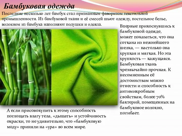 Бамбуковая одежда Последние несколько лет бамбук стал признанным фаворитом текстильной промышленности.