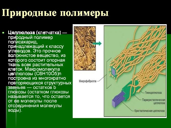 Природные полимеры Целлюлоза (клетчатка) — природный полимер полисахарид, принадлежащий к классу