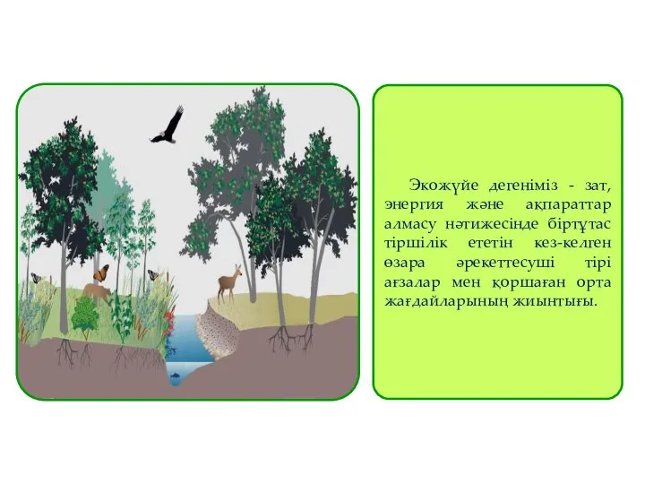 Экожүйе дегеніміз - зат, энергия және ақпараттар алмасу нәтижесінде біртұтас тіршілік