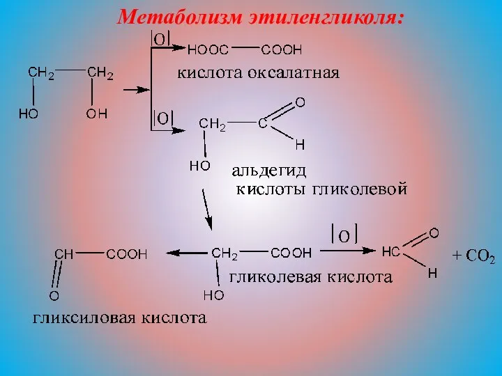 Метаболизм этиленгликоля: