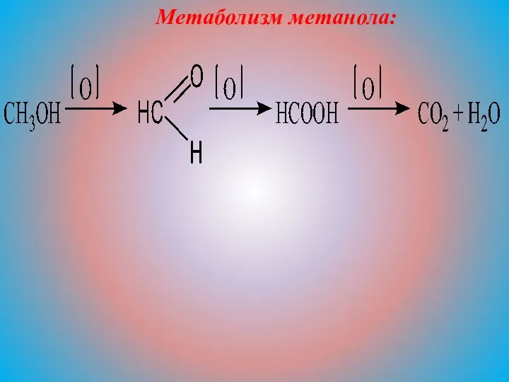 Метаболизм метанола: