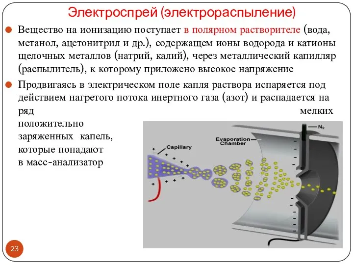 Электроспрей (электрораспыление) Вещество на ионизацию поступает в полярном растворителе (вода, метанол,