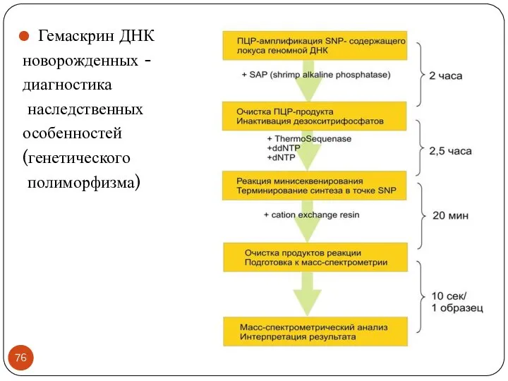 Гемаскрин ДНК новорожденных - диагностика наследственных особенностей (генетического полиморфизма)