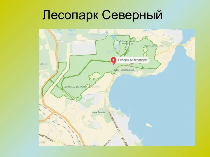 Лесопарк Северный