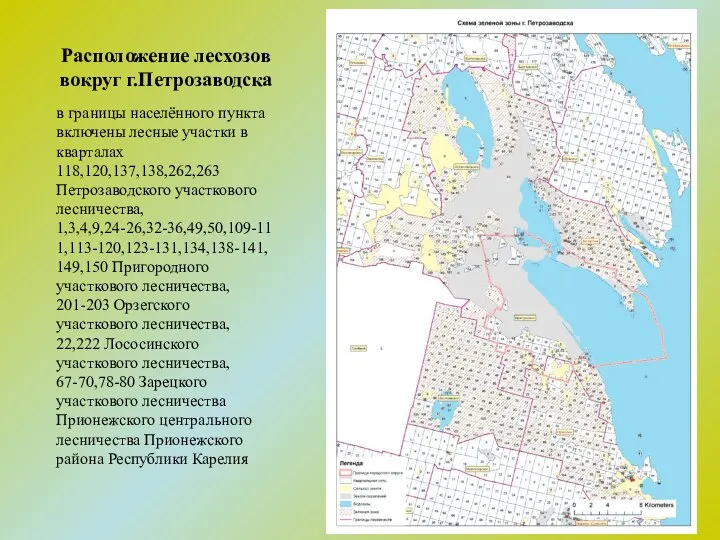 Расположение лесхозов вокруг г.Петрозаводска в границы населённого пункта включены лесные участки