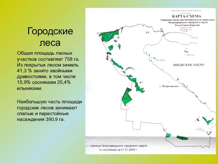 Городские леса Общая площадь лесных участков составляет 758 га. Из покрытых