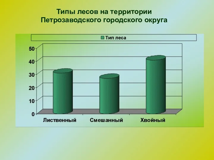 Типы лесов на территории Петрозаводского городского округа